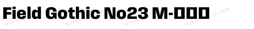 Field Gothic No23 M字体转换 Field Gothic No23 M字体转换